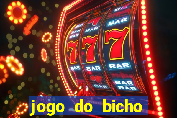 jogo do bicho feira de santana